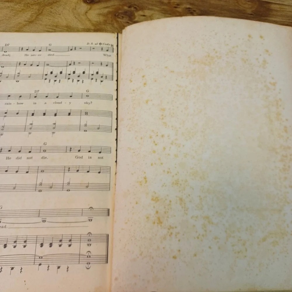 Johnny‎ Cash The Holy Land Song Book Modern World Library 1968
